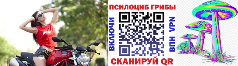 Галлюциногенные грибы Psilocybine cubensis  shop клад  Куйбышев 